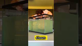 Is It Possible 12Hour Challenge of Drinking Water by Spoon shorts viralvideo trending foryou [upl. by Jule]