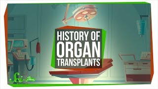 The Messy Path to the First Successful Organ Transplants [upl. by Koch312]