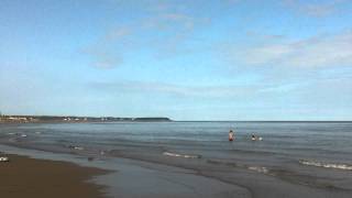 Ocean Raw Footage  Near Shediac NB [upl. by Enitsenrae]