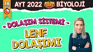 Lenf Dolaşımı  AYT Biyoloji Kamp2022 [upl. by Lesnah]