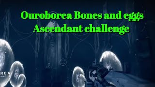 Ouroborea Eggs and bones Ascendant challenge Toland locationsDestiny 2 [upl. by Adriel]