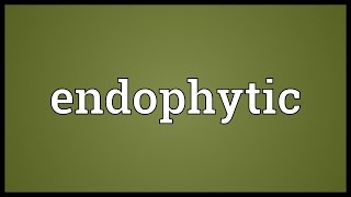 Endophytic Meaning [upl. by Ylsew433]