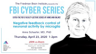 FBI Cyber Series  Negative feedback control of neuronal activity by microglia by Dr Anne Schaefer [upl. by Allecsirp]