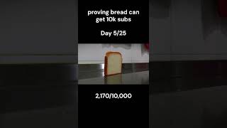 bread day 5 [upl. by Mas]