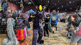 Popular Fur Finn the Panther and more furries at BLFC [upl. by Blayze]