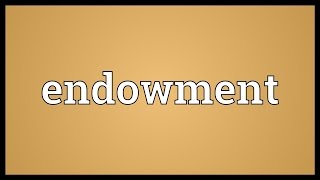 Endowment Meaning [upl. by Cathlene]