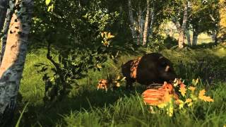 WiLD Gamescom 2014 Trailer [upl. by Ava]