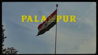 Palampur  Most beautiful place  Himachal Pradesh  cinematic [upl. by Leveroni175]