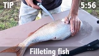 How to Fillet Fish [upl. by Scriven585]