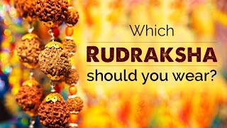 Which Rudraksha should you wear [upl. by Lyrahc639]