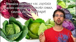 quotQuello che sorpassa ogni altro vegetalequot [upl. by Esinel29]