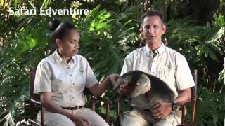 Safari Edventures  Glenn and Nikki FriedYouTube [upl. by Eyahs]