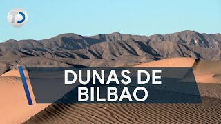 Las Dunas de Bilbao el Sahara mexicano [upl. by Thorlay]