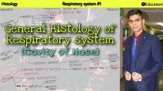 Histology of Respiratory system 01  General information [upl. by Nnylyoj165]