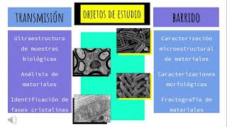 Microscopio electrónico de transmisión y de barrido [upl. by Brigida]