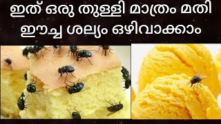 ഈച്ചയെ വീട്ടിൽനിന്ന് അകറ്റാം  how to get rid of House flies naturally [upl. by Ytisahc]