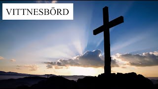 Vittnesbörd  Judisk man befriad från depression av Jesus Svensk Text [upl. by Enyad912]