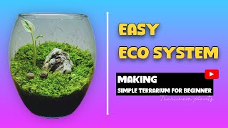 Easy terrarium for beginners [upl. by Terina]