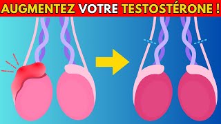 Comment Augmenter Naturellement la Production de Testostérone Santé Masculine  Dr Santé [upl. by Townie812]