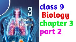 class 9 Biology chapter 3 Respiration and Excresion Questions and Answers part 2 [upl. by Selin]