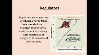 Higher Biology  24 Metabolism in Conformers and Regulators [upl. by Annaihr]