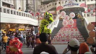 barongsai BUDHI MULYA jakarta [upl. by Estes156]