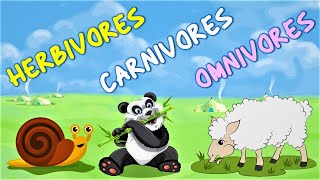 Herbivores Carnivores and Omnivores for kids  Animals Eating Habits with example [upl. by Sy]