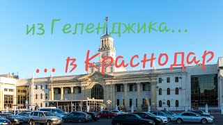 ИЗ ГЕЛЕНДЖИКА В КРАСНОДАР ДОРОГА КАК ДОБРАТЬСЯ  18 марта 2019 [upl. by Anihsit]