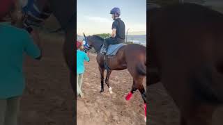 CAYMANAS PARK WELCOME JOCKEY DAISUKE FUKUMOTO FOR THE MOUTTET MILE caymanaspark horseracing [upl. by Neville]