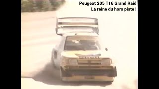 les 205 exclusives La Peugeot 205 Turbo 16 Grand Raid [upl. by Ardnayek264]