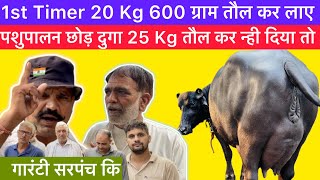 1st Timer 20 Kg 600 Gram तौल कर लाए  पशुपालन छोड़ दुगा 25 Kg तौल कर न्ही दिया तो  Sarpanch [upl. by Armington]