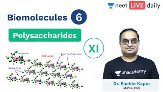 Biomolecules  Lecture 6  Polysaccharides  Class 11  Unacademy NEET  NEET Biology  Sachin Sir [upl. by Blynn]