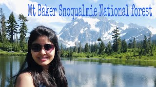 Exploring Mt BakerSnoqualmie National Forest and Mt Shuksan [upl. by Natty]