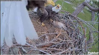 SWFL Eagles  M15 DELIVERS THE FIRST FISH GIFT OF THE SEASON 🐟 🎁 Here We Go 😂 92524 [upl. by Ennagroeg]