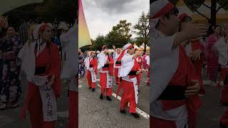 MAMF 2024 Parade Preparation Japanese Community in Changwon South Korea [upl. by Mclaurin]