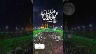 Abbas ALLMDAR As States Noha Nadeem Sarwar lodhranazadari youtubeshorts viralshort karbala [upl. by Ailemor]