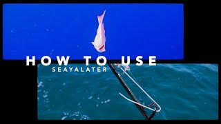 Return Em Right How to Use a SeaYaLater Fish Descending Device [upl. by Ajroj258]