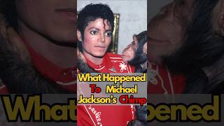 What Happened to Bubbles Michael Jackson’s Chimp short shorts [upl. by Glialentn]