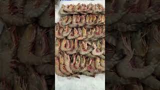 Seafood special uae fishing [upl. by Hump]