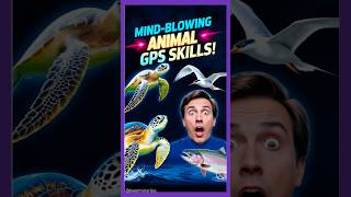 🦁Animals with MindBlowing GPS Skills🧭 animals facts wildlife [upl. by Enylecoj]