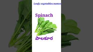 Indian leafy vegetables names leafy vegetables shorts [upl. by Yhtomit]