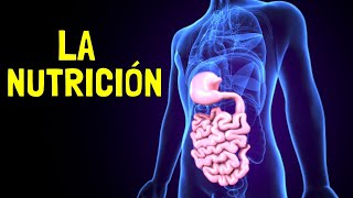 La FUNCIÓN DE LA NUTRICIÓN  Procesos alimentos y nutrientes [upl. by Bilak188]