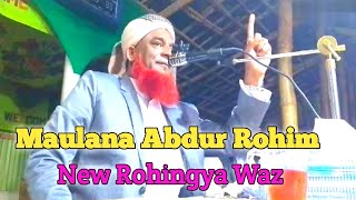 Maulana Abdur Rohim New Waz About Human being Death  Rohingya Technical AJ [upl. by Esiuolyram]