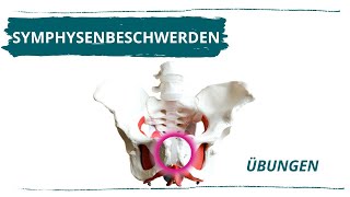 Symphyse Übungen bei Symphysenbeschwerden [upl. by Scarlett14]