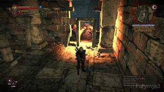 The Witcher 2 Walkthrough HD FR Part 64  Pénétrer dans Loc Muinne [upl. by Shanahan]