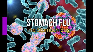 Stomach Flu The Stomach Bug [upl. by Allenad]