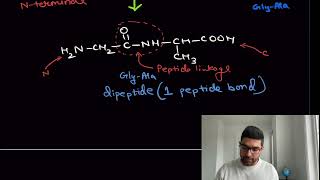 Peptide bond formation  Dipeptide tripeptide  GlyAla by TUC Nikhil Sharma [upl. by Narad35]