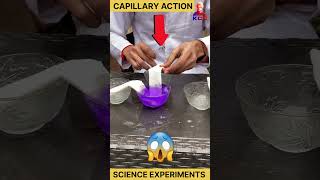 capillary rise class 11 physics  experiment science physics scienceexperiment [upl. by Muller]