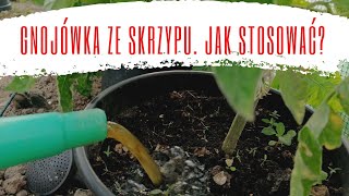 Jak stosować gnojówkę ze skrzypu Gnojówka ze skrzypuproporcje [upl. by Nitsuj641]