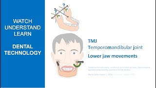 TMJ Temporomandibular joint amp Lower jaw movements [upl. by Ahsiekal]